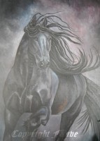 /album/galerie-photos/black-fantaisy-50-x-70-w-jpg1/